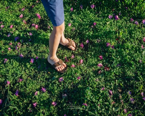 Feet walking on green grass morning